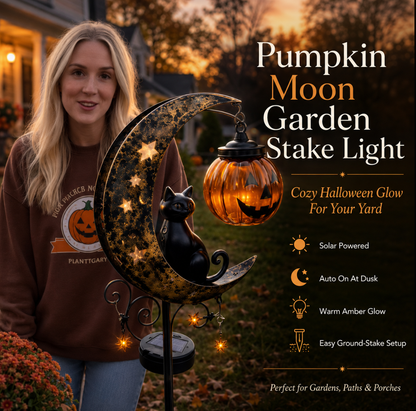 Solar Black Cat Garden Stake Light | IP65 Waterproof Halloween Outdoor Decor