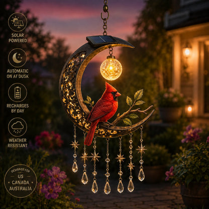 Enchanted Moon Solar Garden Lights – Solar Powered Hanging Decor