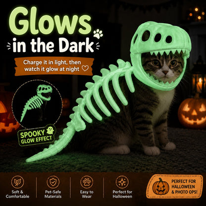 Glow-in-the-Dark Dinosaur Skeleton Pet Costume for Cats & Small Dogs